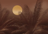 Calypso - View 1