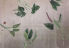 Tropic Concrete - View 1