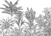 Savanna - View 1