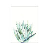 Green Walls - View 1