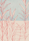 Plain - View 1