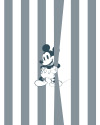 Mickey Offbeat - View 1