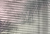 Shadows - View 1