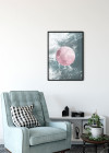 Solum Aqua