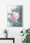 Solum Aqua