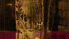 Shore Reflecting darkorange - View 1