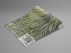 Palm Fronds - View 1