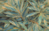Amazonia Vibes - View 1
