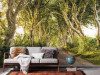 Golden Hedges - View 1