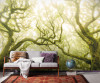 Green Fire - View 1