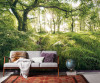 Mystic Path - View 1