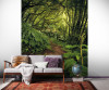The Path - View 1
