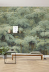 Jungle Lands - View 1