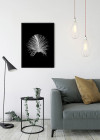 Feather Black