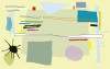Composition 1 yellow-green - View 1