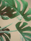 Jungle Wildlife - View 1