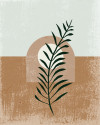 Coffee Arabica - View 1