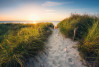 Way to the Beach - View 1