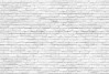Brick Wall - View 1