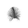 Feather White