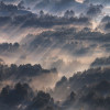 Rays