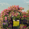 Rose Garden