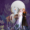Frozen Full Moon Hike