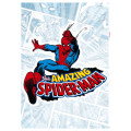Spider-Man Comic Classic