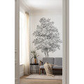 Arbre - Thumbnail View 1