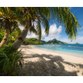 Rêve de Coco - Thumbnail View 1