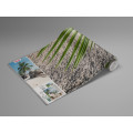 Tagträume - Thumbnail View 1
