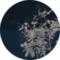 Branch - Thumbnail View 1