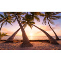 Reaching the Sun - Thumbnail View 1