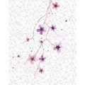 Cherry Tree - Thumbnail View 1