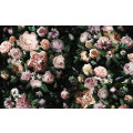 Victoria Black - Thumbnail View 1