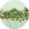 Coconut Trees - Thumbnail View 1