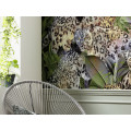 Wild Cats - Thumbnail View 1