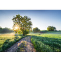 Meadow Trail - Thumbnail View 1