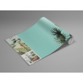 Oasis - Thumbnail View 1