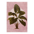Florasia - Thumbnail View 1