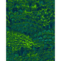 Feathers - Thumbnail View 1
