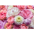 Vibrant Spring - Thumbnail View 1