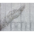 Betonfeder - Thumbnail View 1