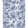 Orchidées - Thumbnail View 1