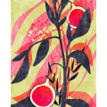 Bonbons aux Fruits - Thumbnail View 1