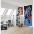 Spider-Man Rooftop-Rockin - Thumbnail View 1