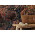 Paradiso II - Thumbnail View 1