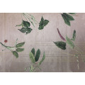 Tropic Concrete - Thumbnail View 1