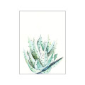 Green Walls - Thumbnail View 1