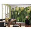 Tulips - Thumbnail View 1